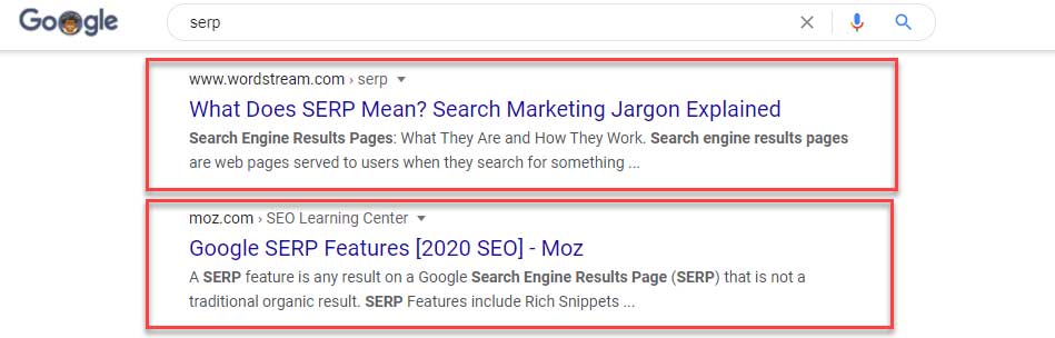 What does SERP mean